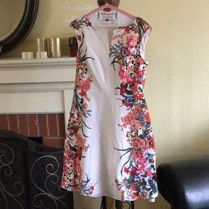 Adrianna Papell Cotton Dress